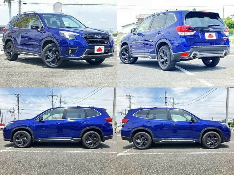 FORESTER