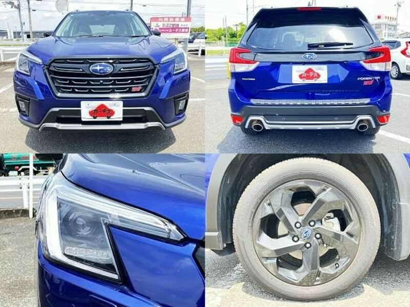 FORESTER