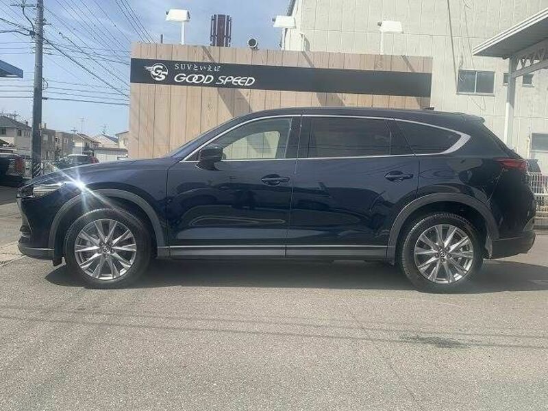 CX-8