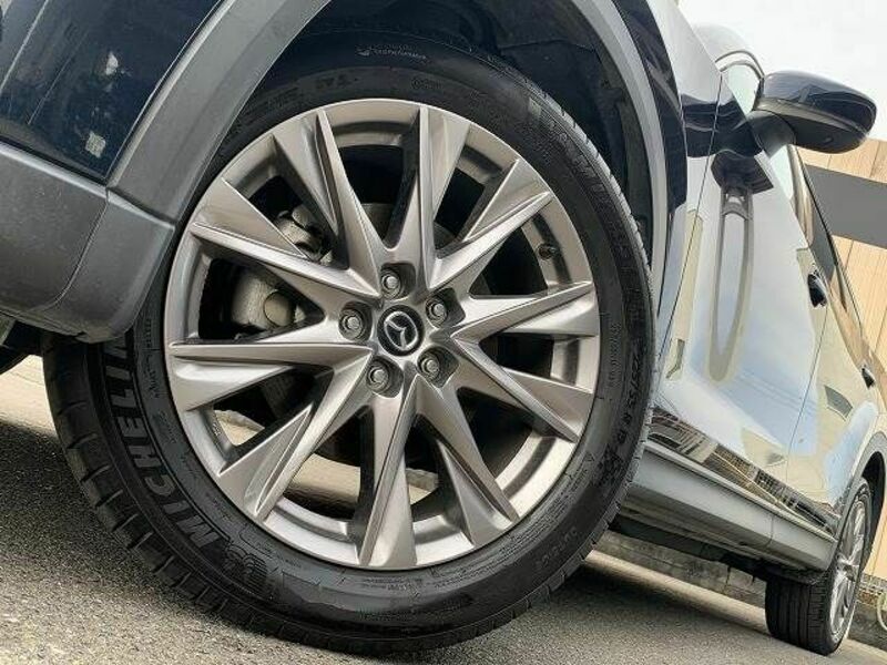 CX-8