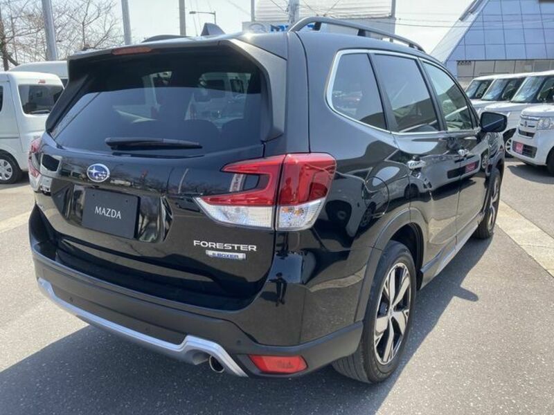 FORESTER