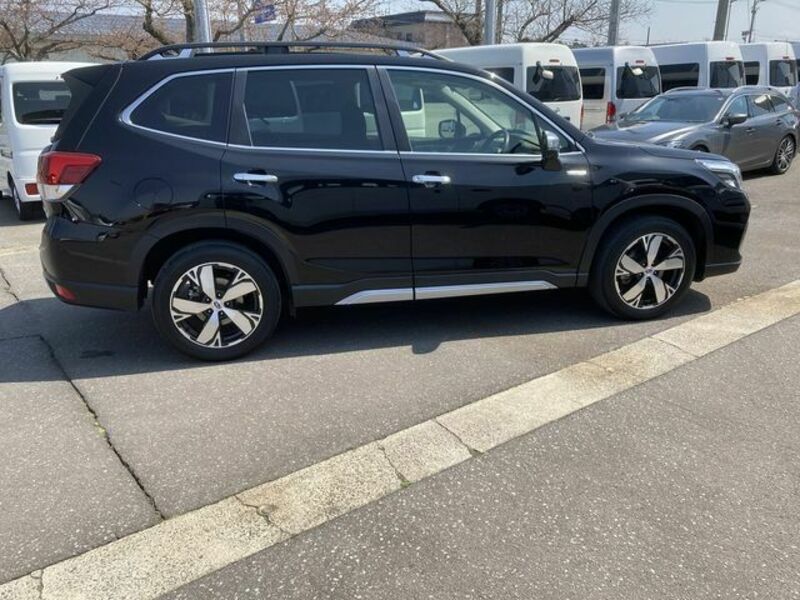 FORESTER