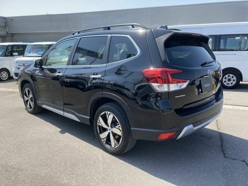 FORESTER