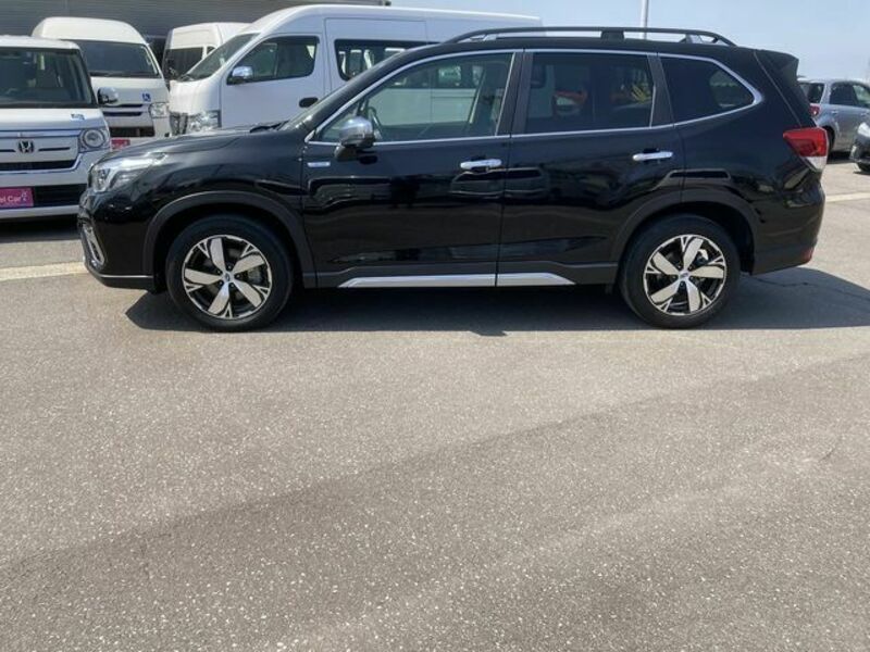 FORESTER