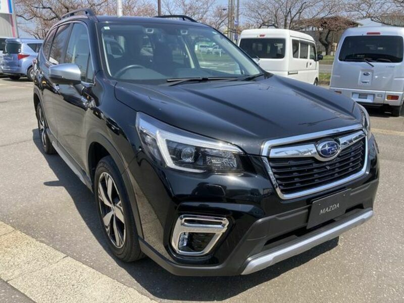 FORESTER