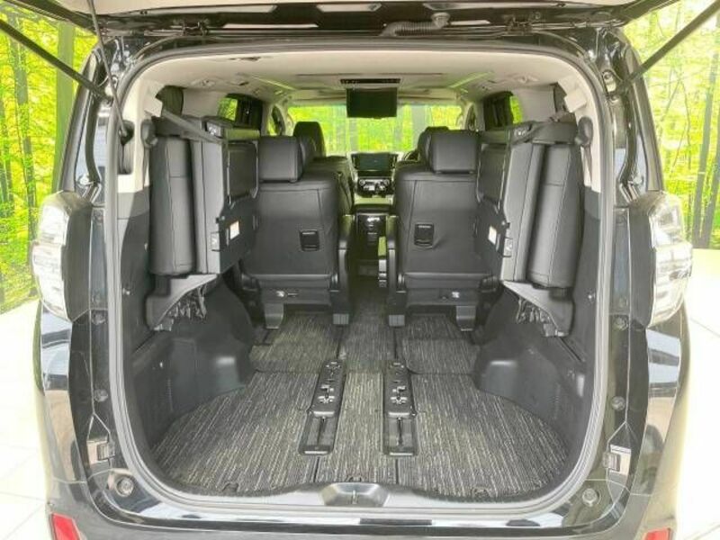 VELLFIRE-10