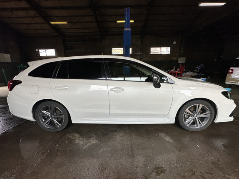 LEVORG
