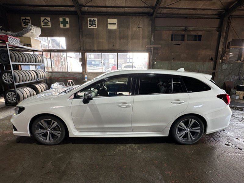 LEVORG