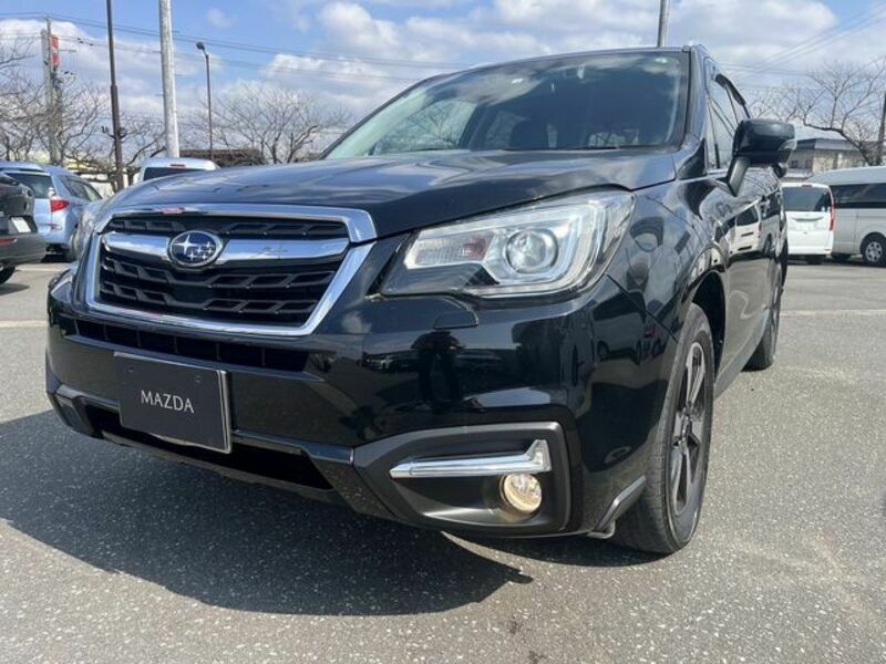 FORESTER