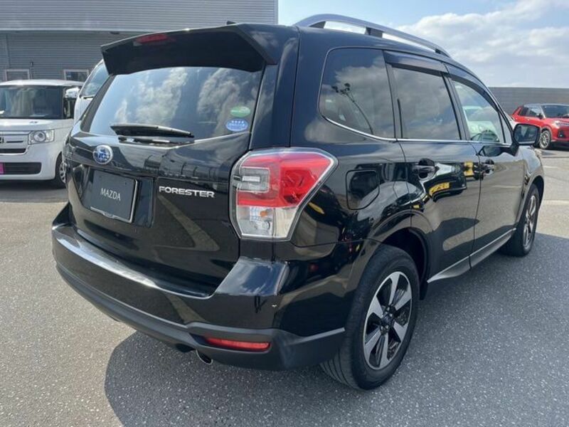 FORESTER