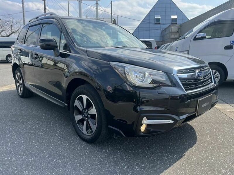FORESTER