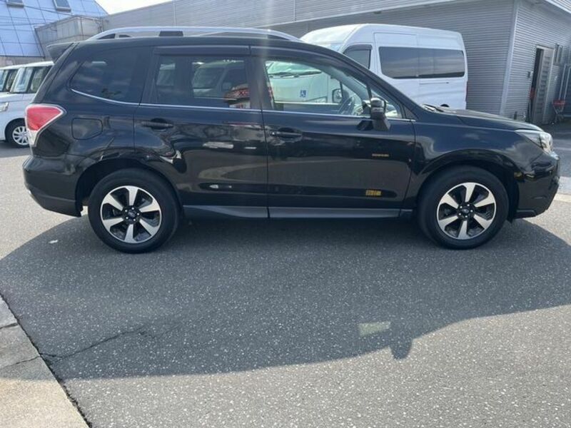 FORESTER