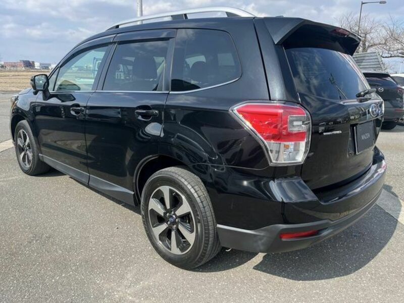 FORESTER
