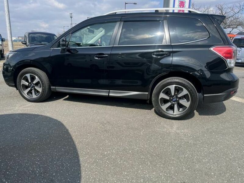 FORESTER