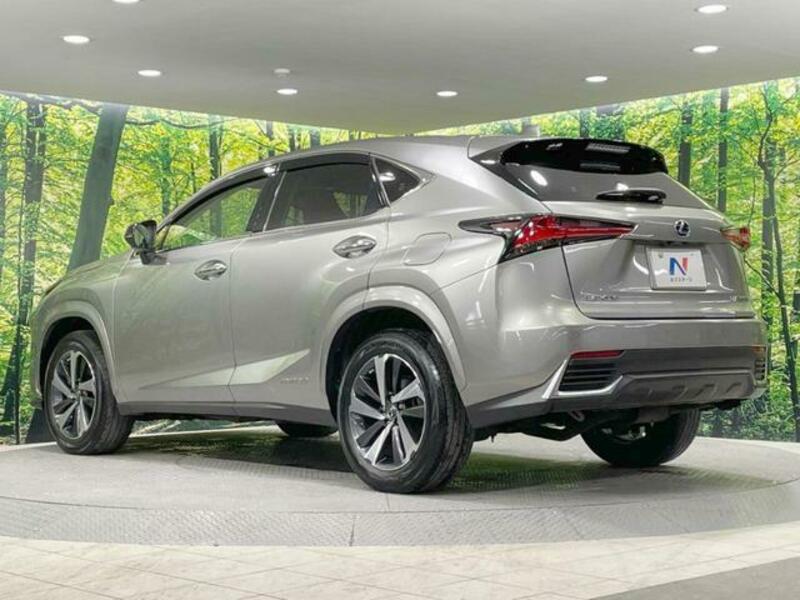 NX