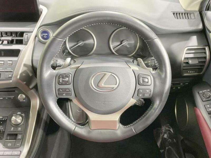 NX
