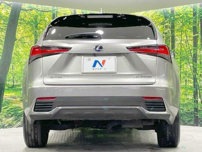 NX