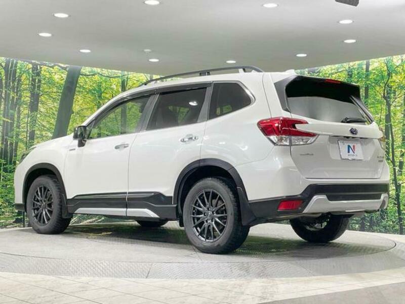 FORESTER
