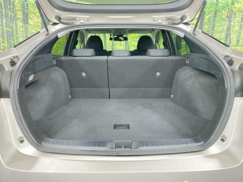 PRIUS-9