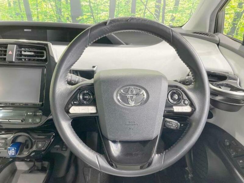 PRIUS-10