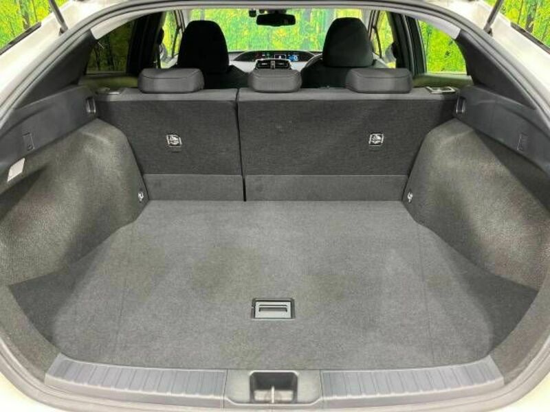 PRIUS-9