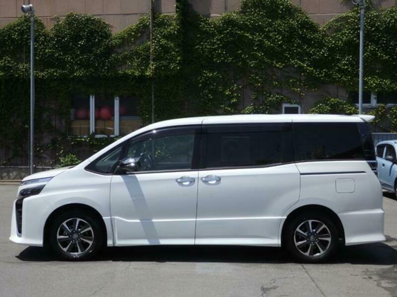 VOXY-5