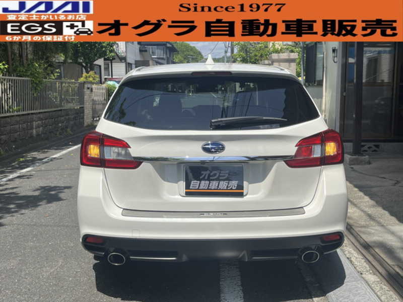 LEVORG