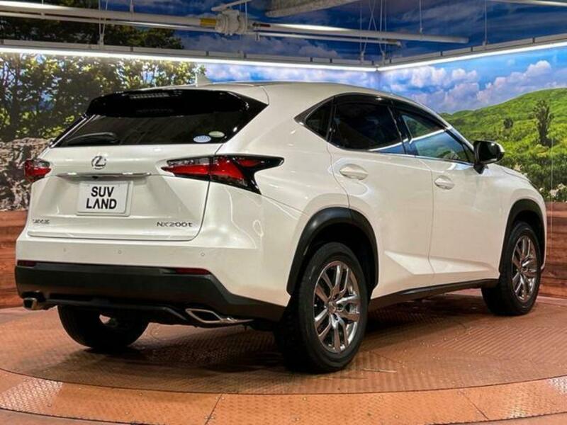 NX