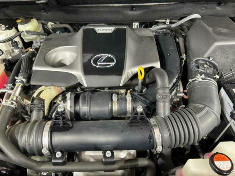 NX