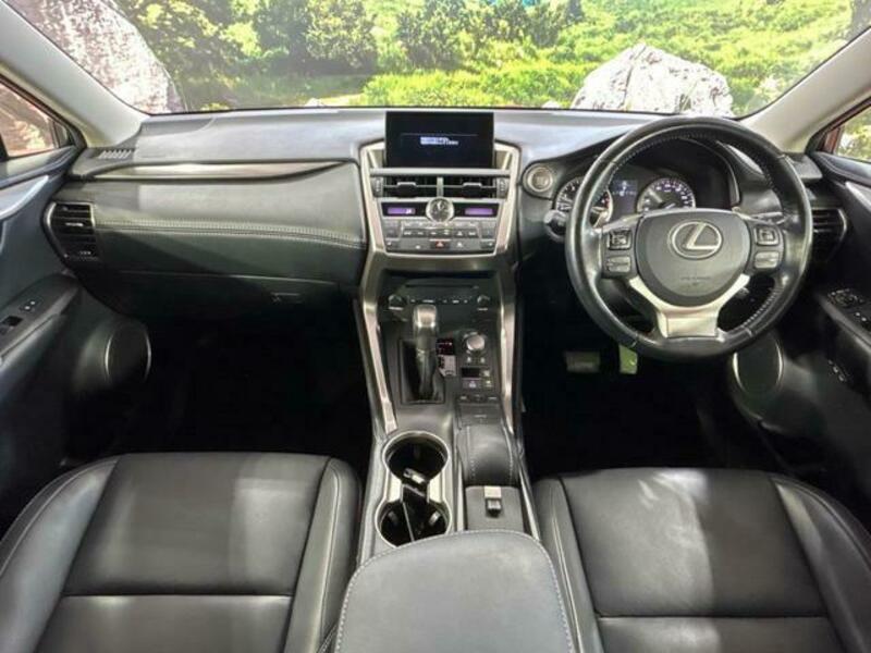 NX