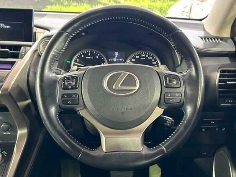 NX