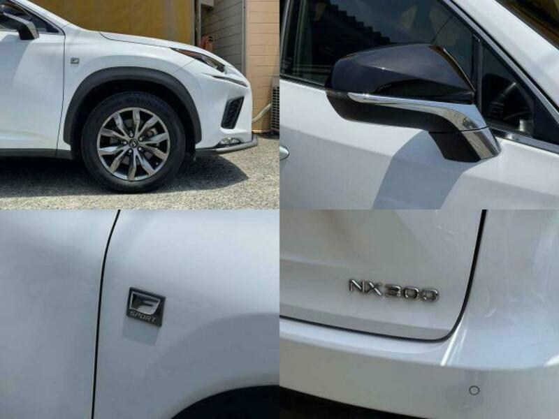 NX