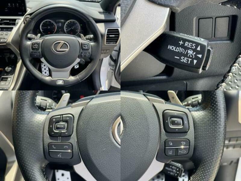 NX