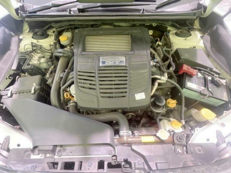 LEVORG-17