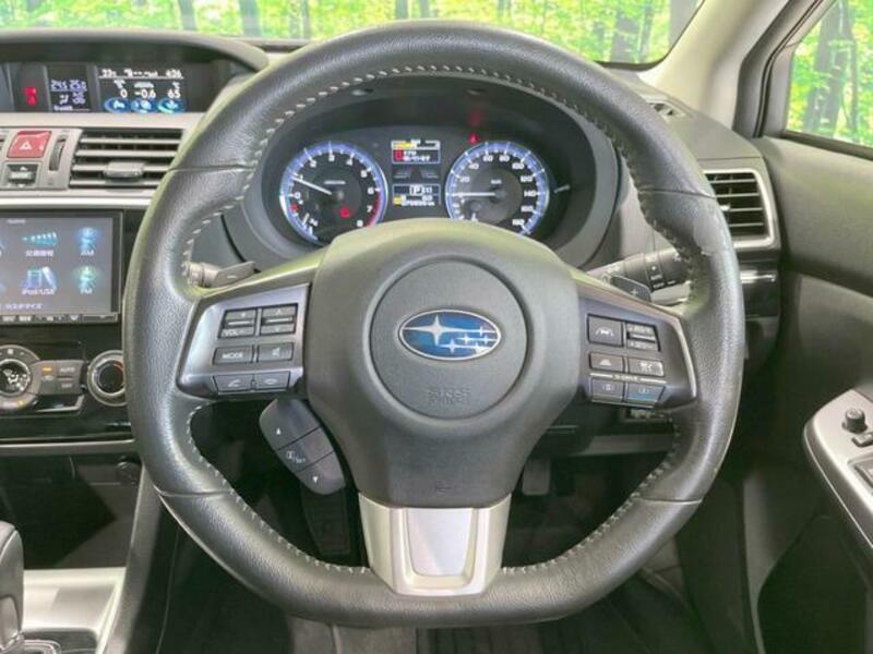 LEVORG-10