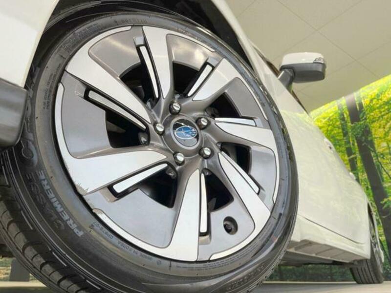 LEVORG-12