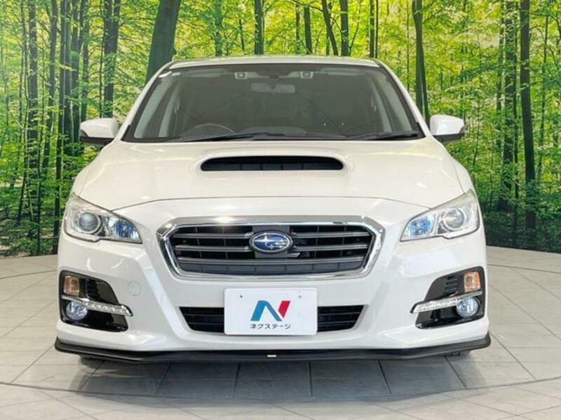 LEVORG-13