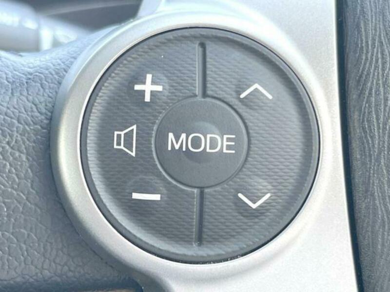 PRIUS-7