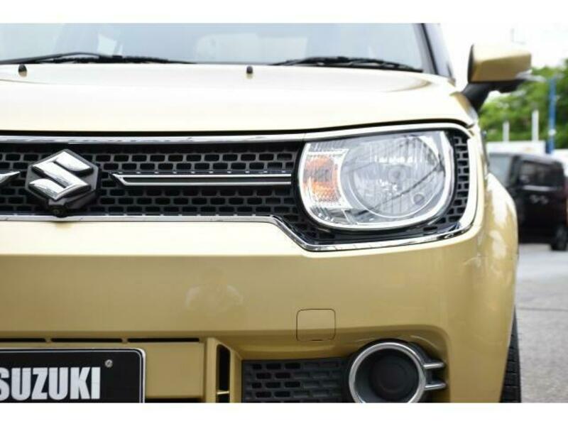 IGNIS