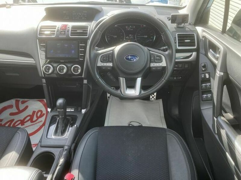 FORESTER-1