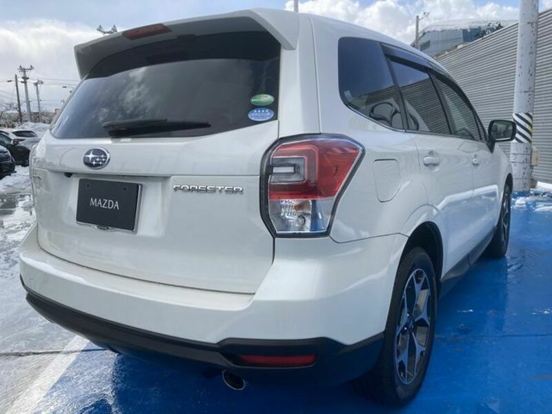 FORESTER-2