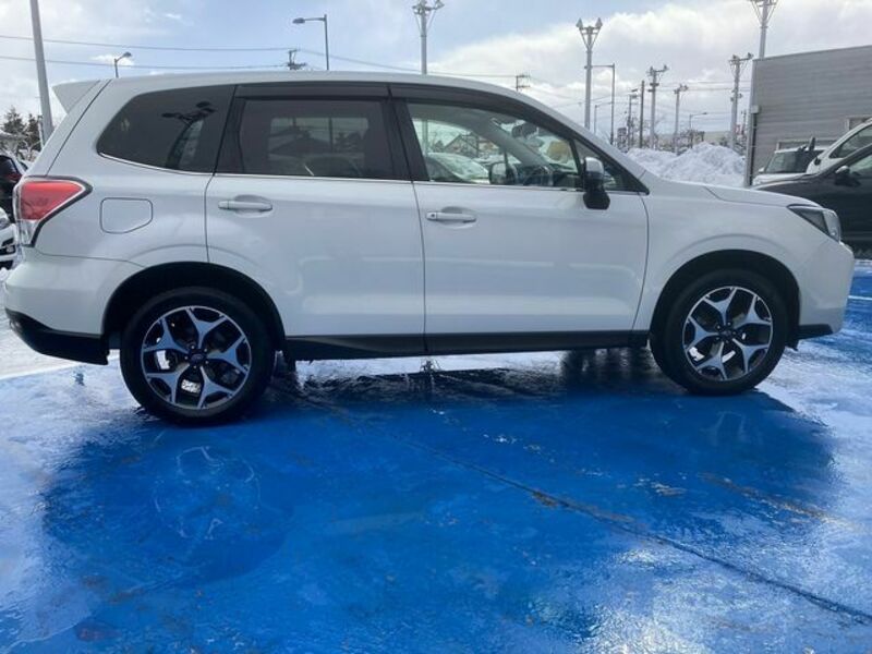 FORESTER-5
