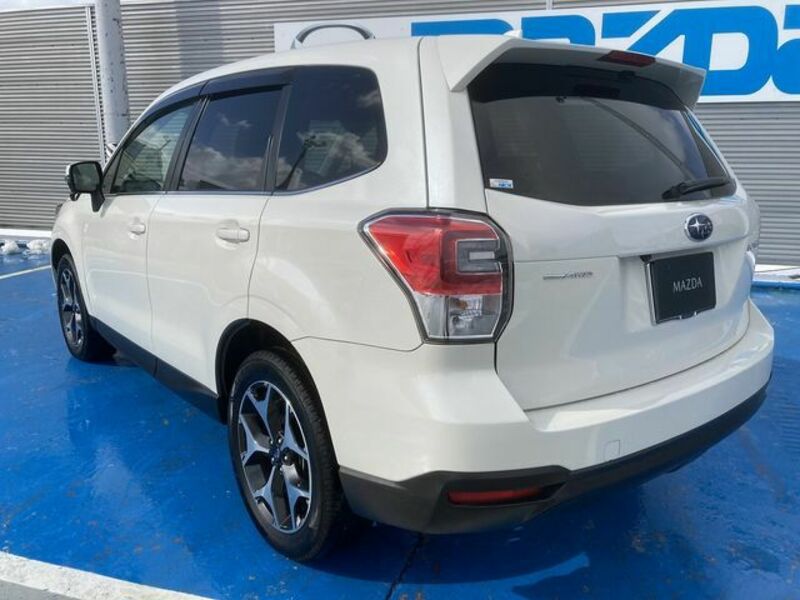 FORESTER-7
