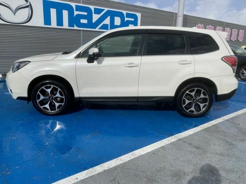 FORESTER-8