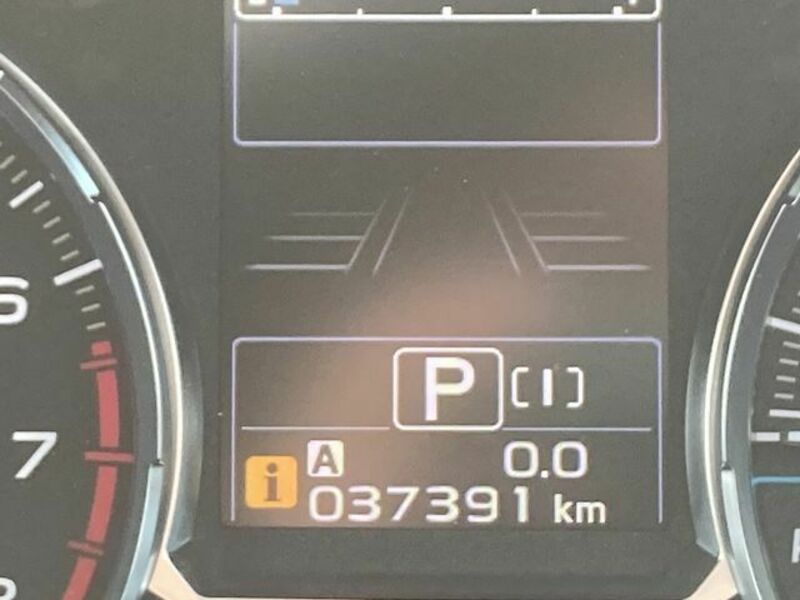 FORESTER-24