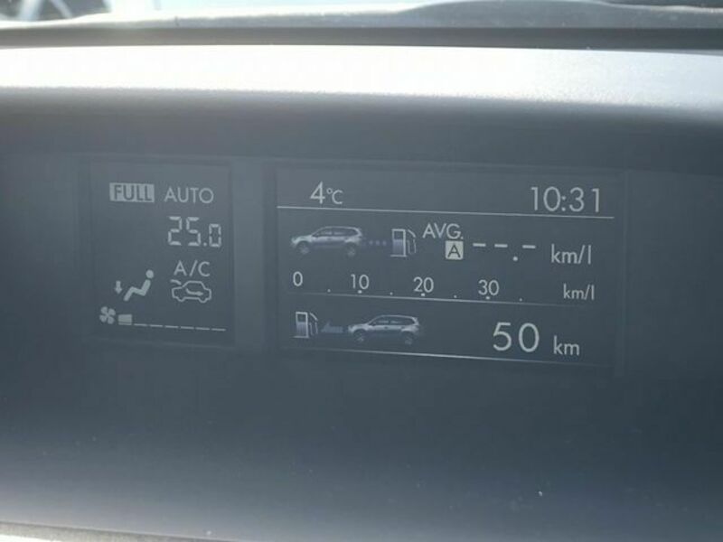 FORESTER-25