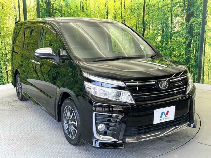 VOXY-17