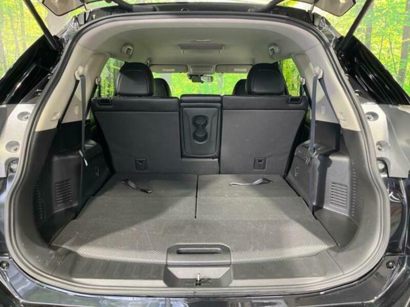 X-TRAIL-10