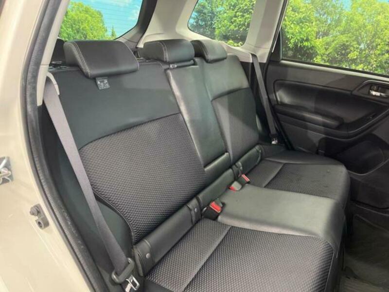 FORESTER-7