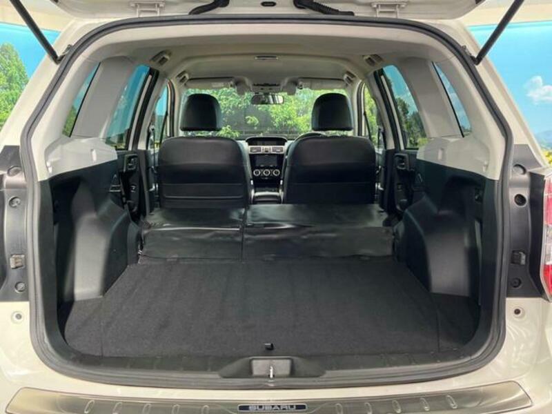FORESTER-8